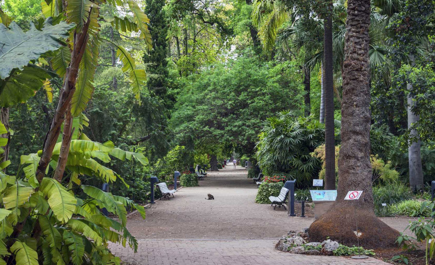 Jardín Botánico, Spain